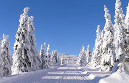 Rsidence Plein Ciel<span>Embrun</span>