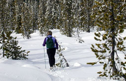 Rsidence Le Balcon de Villard<span>Villard de lans</span>